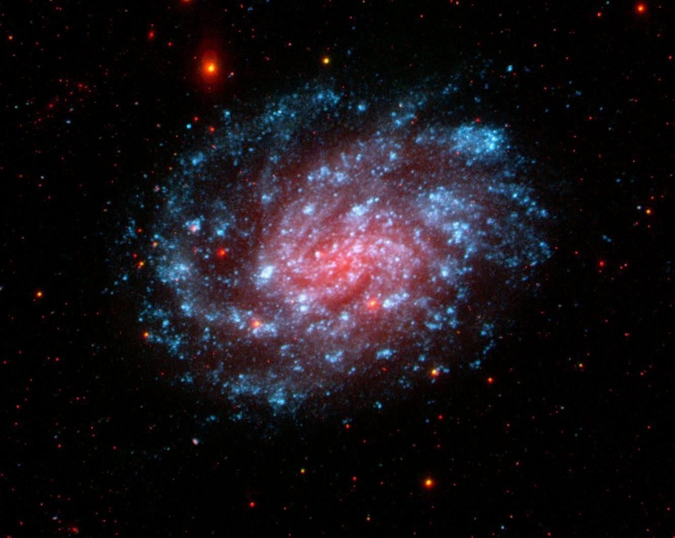 Sculptor Galaxy (NGC 253) — real observation image.