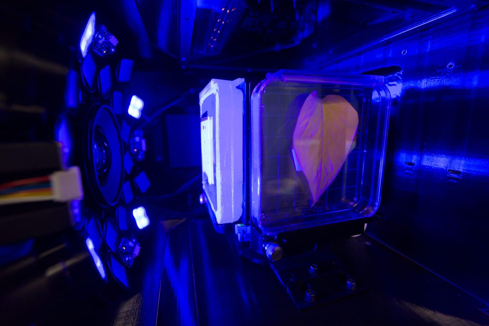 Spectrum Project