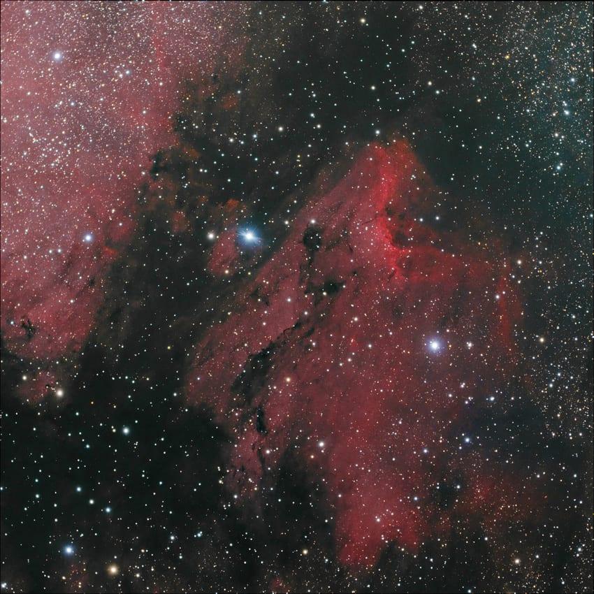 Pelican Nebula — PelicanHunterWilson09