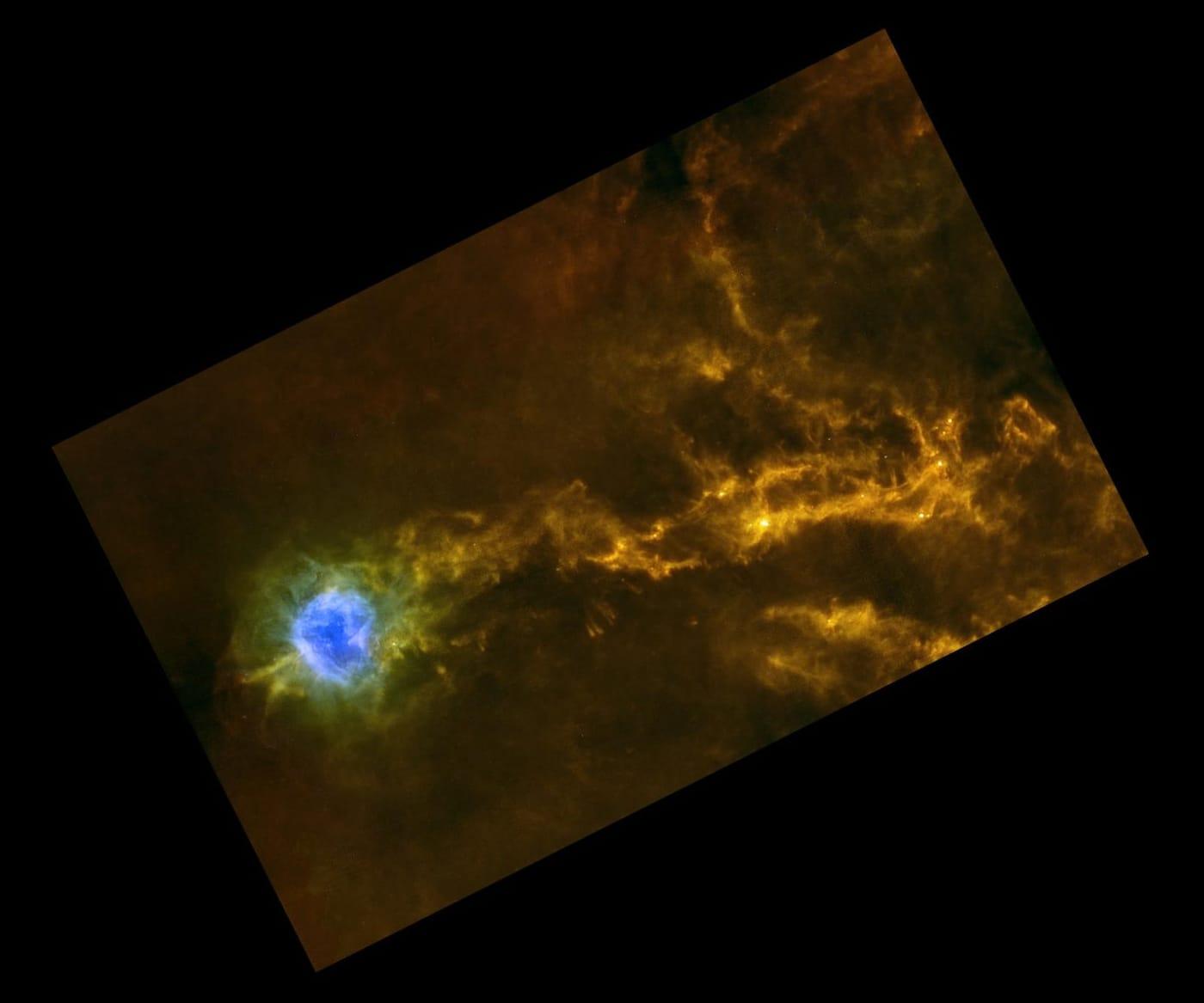Star-Studded Strings around Cocoon Nebula