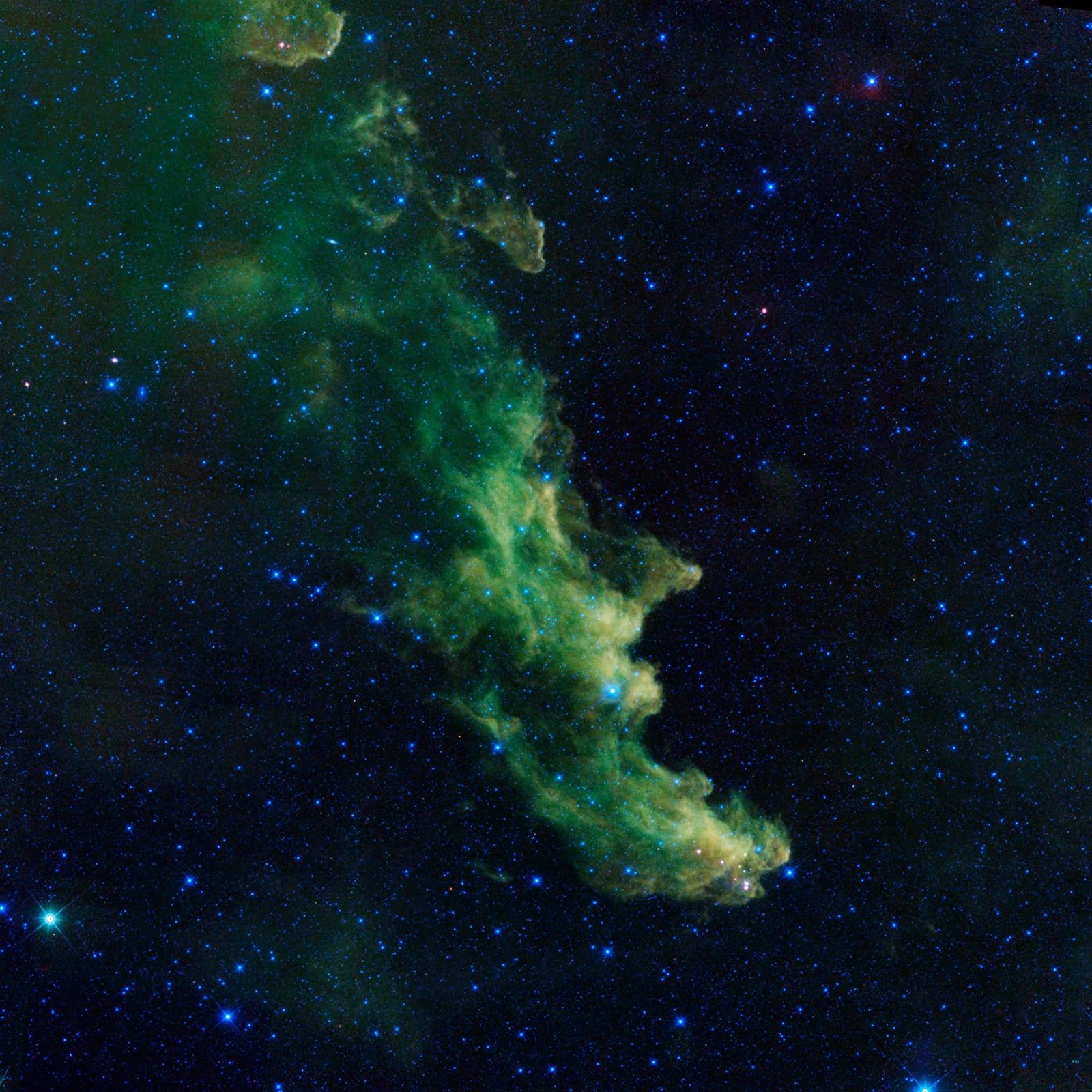 Witch Head Brews Baby Stars