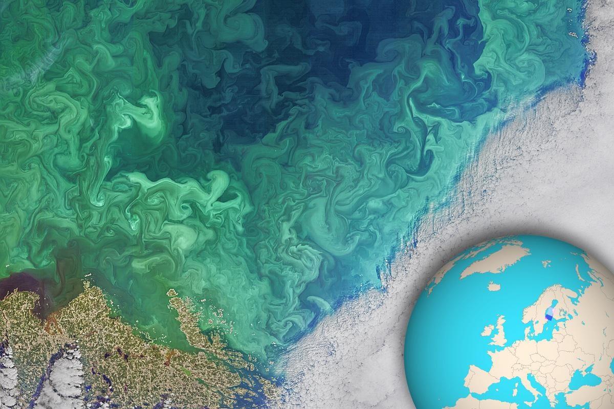 Phytoplankton Bloom in the South of Bothnia