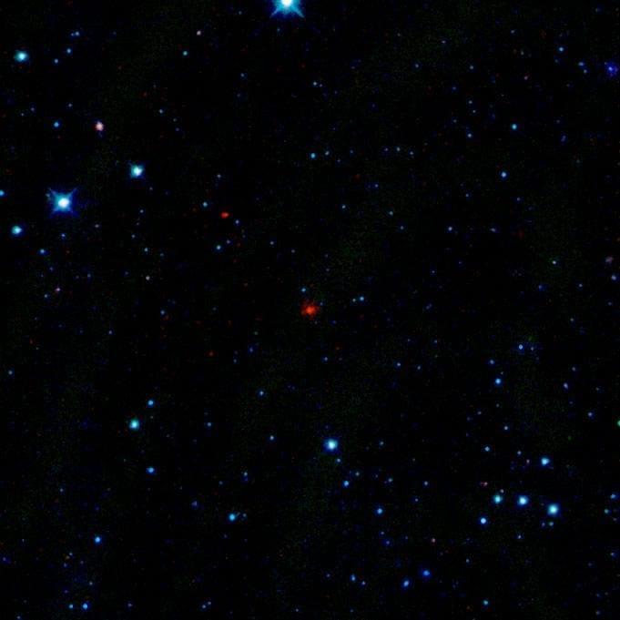 First Comet Seen by WISE