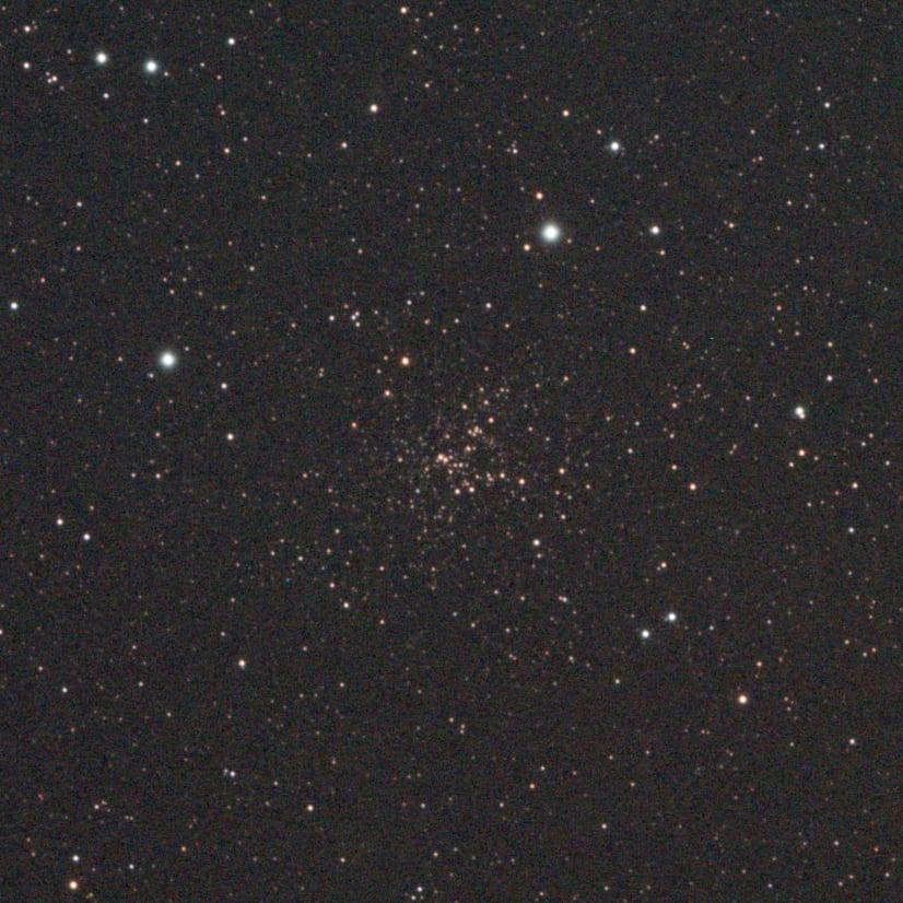 Foxhead Cluster — Foxhead Cluster August 11 2025