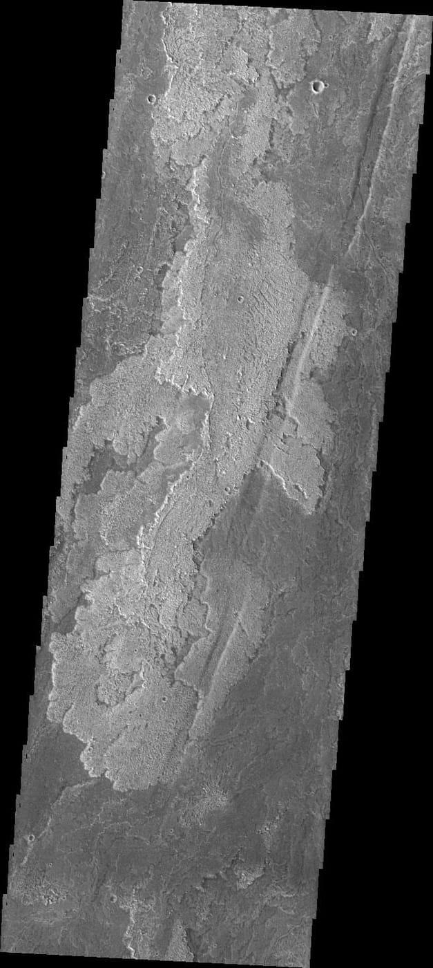 Daedalia Planum