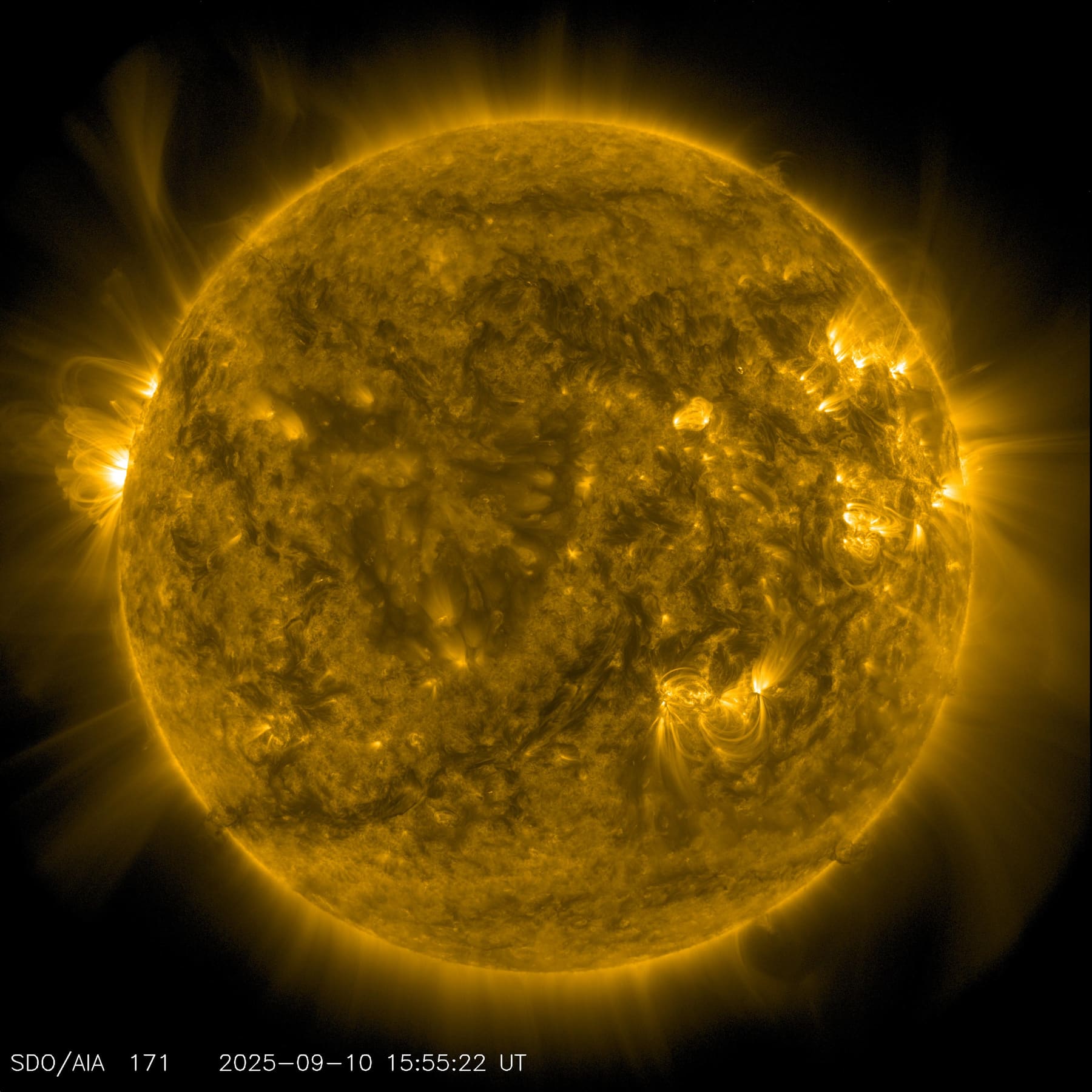 A full-disc view of the Sun in golden ultraviolet light, with bright active regions and coronal structure visible around the limb.