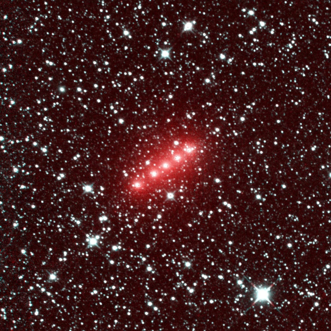 NASA NEOWISE Images Comet C/2014 Q2 Lovejoy